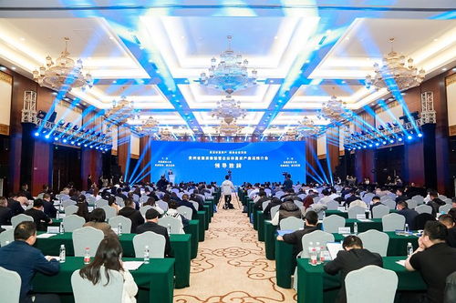 盤活存量資產(chǎn)，融通全國市場——貴州省國資委監(jiān)管企業(yè)資產(chǎn)推介會在貴陽舉行